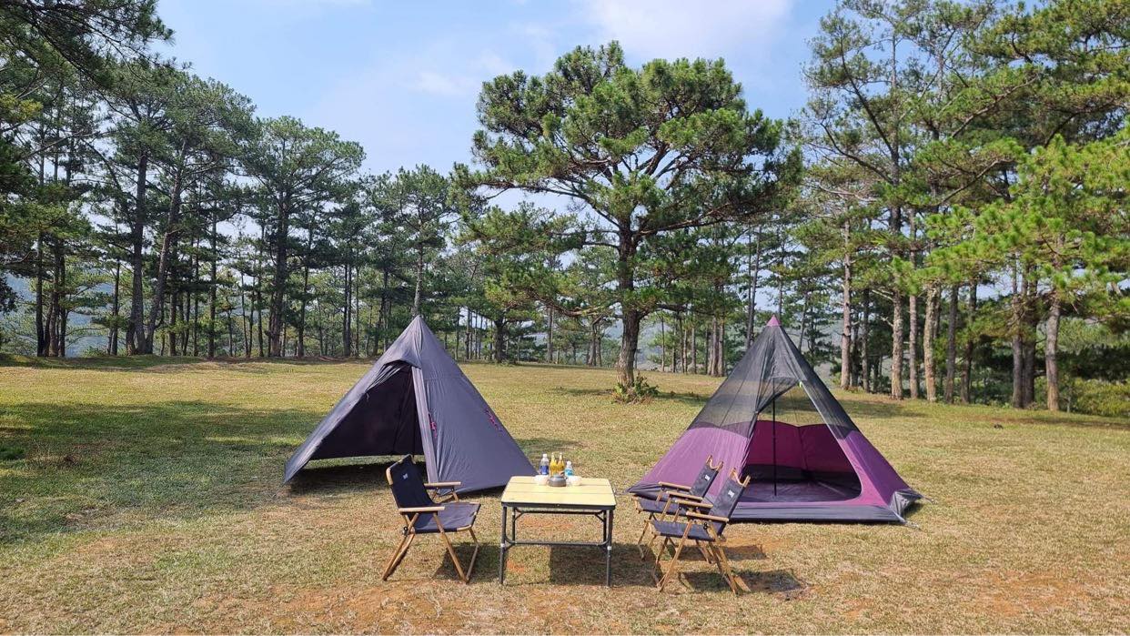 pinkcampstore.com