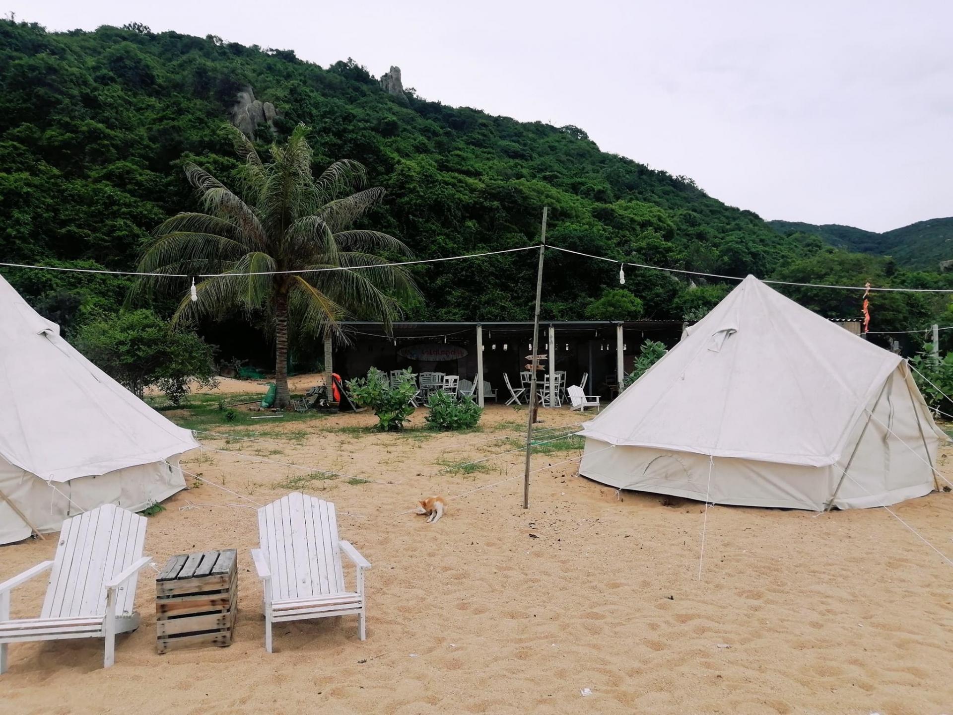 pinkcampstore.com