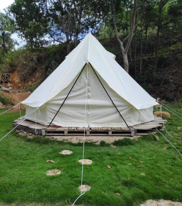 pinkcampstore.com