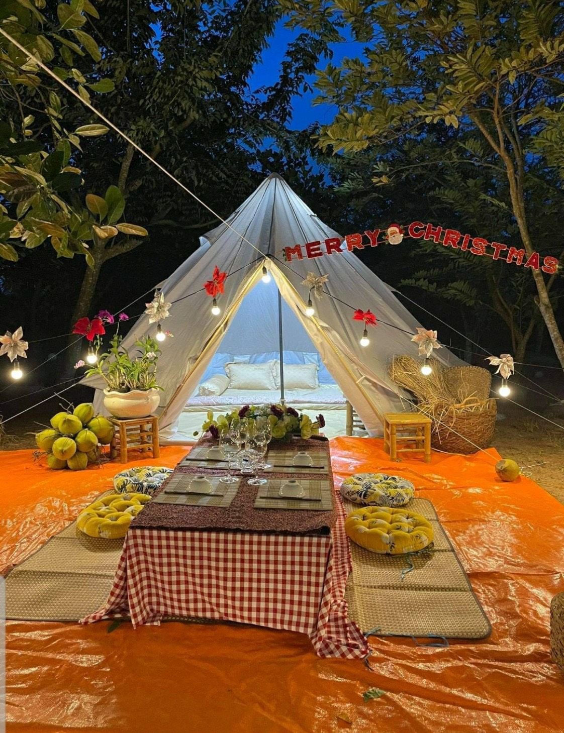 pinkcampstore.com