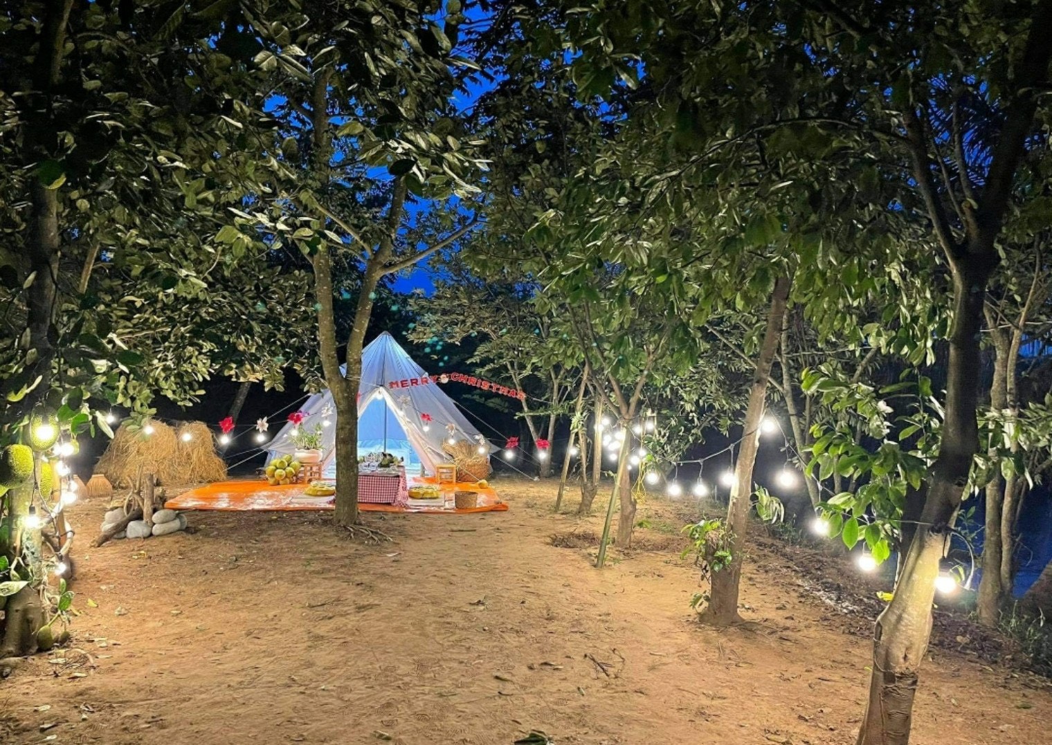 pinkcampstore.com