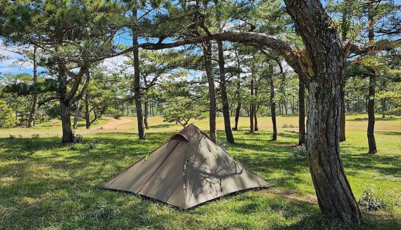 pinkcampstore.com