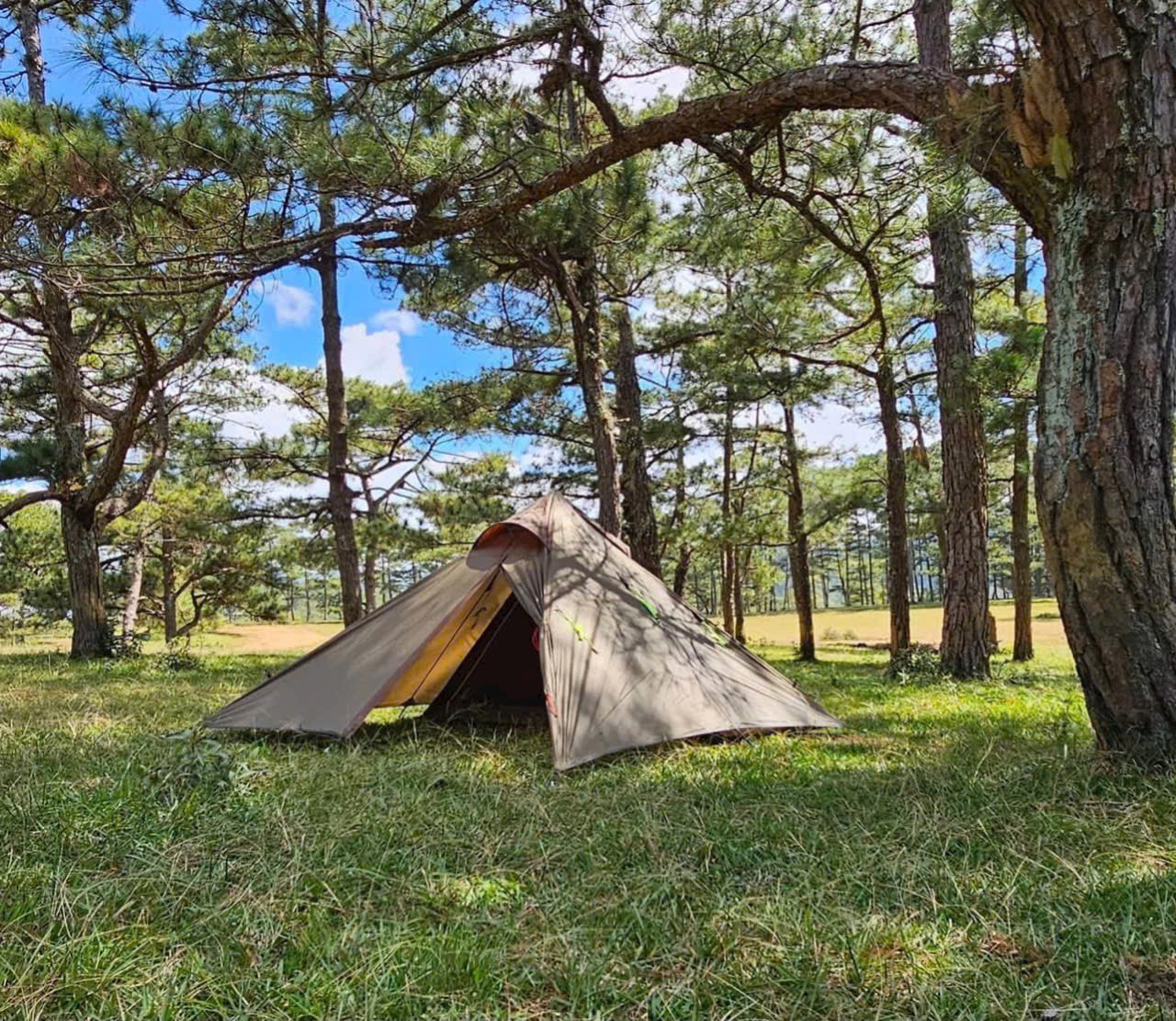 pinkcampstore.com