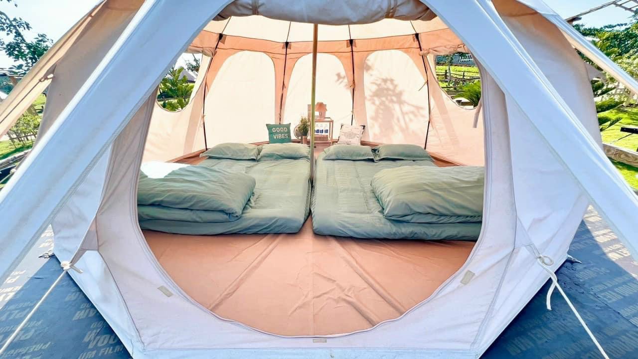 pinkcampstore.com