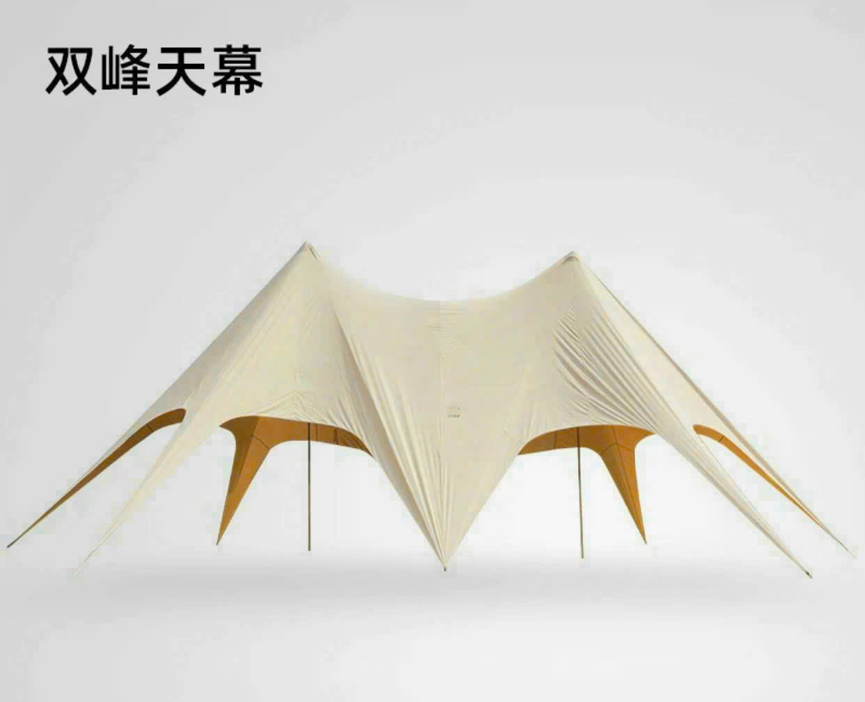 pinkcampstore.com
