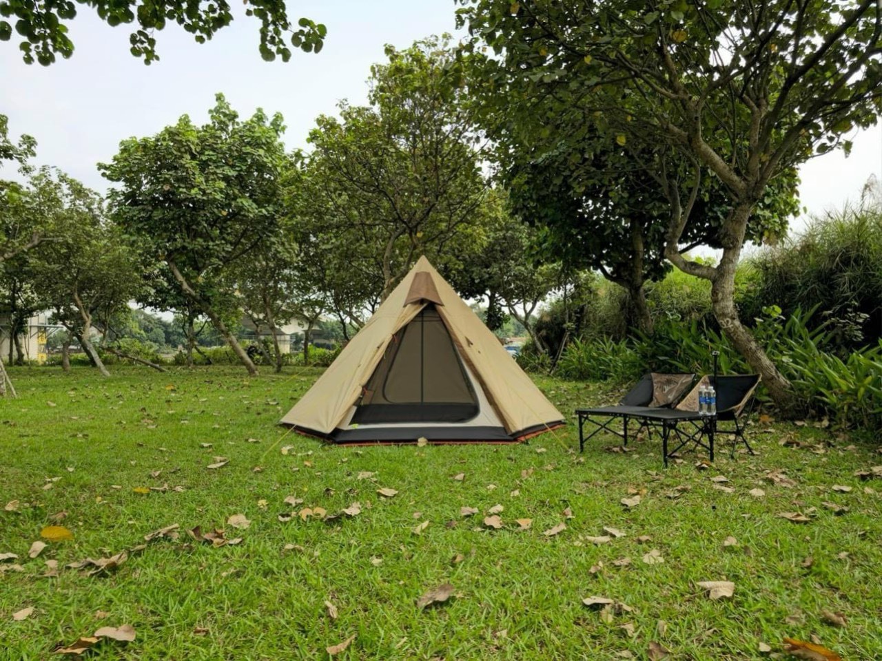 pinkcampstore.com