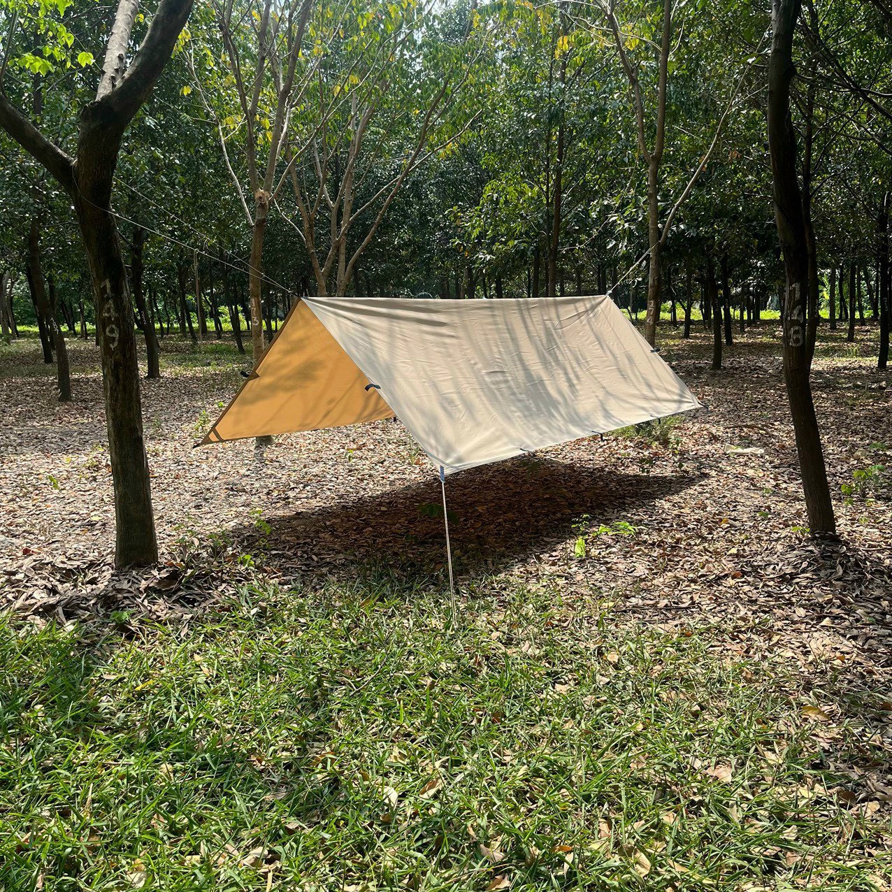 pinkcampstore.com